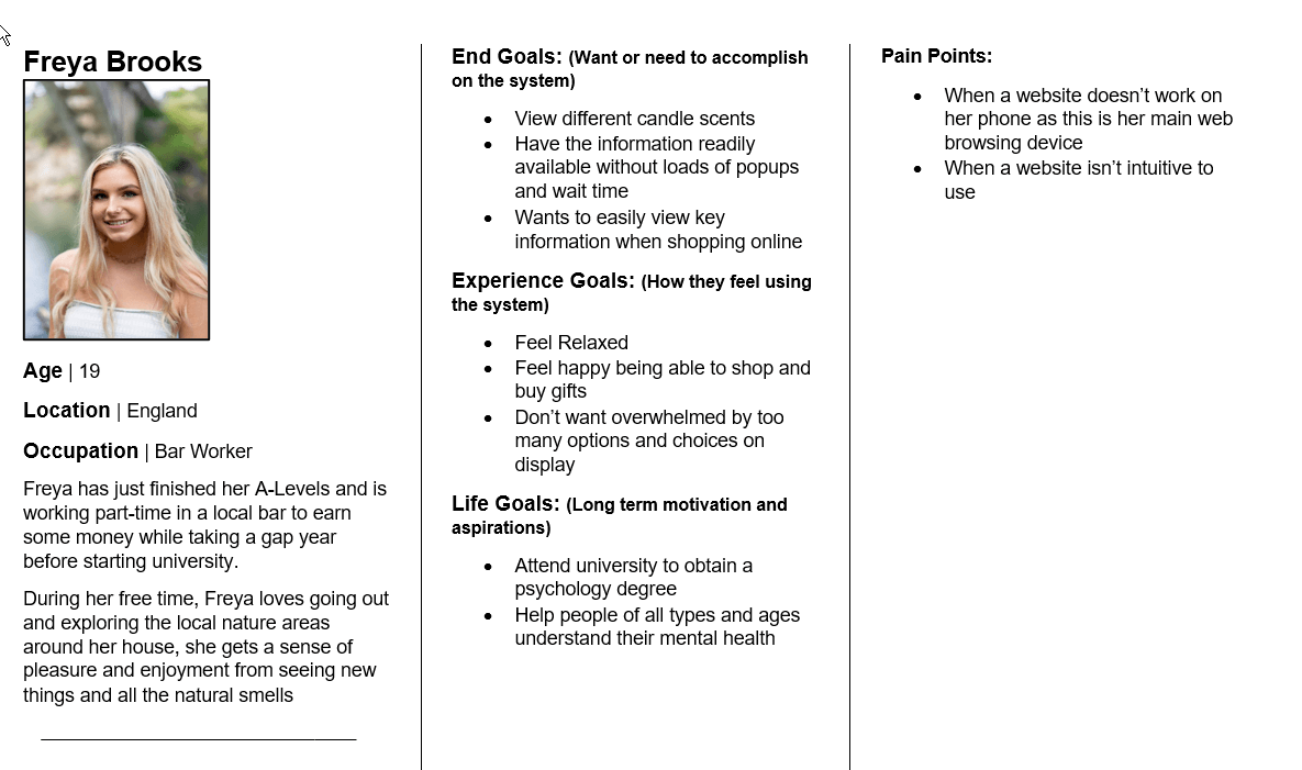 A Persona showing the demographics of a user, their goals and painpoints to help sympathise with them